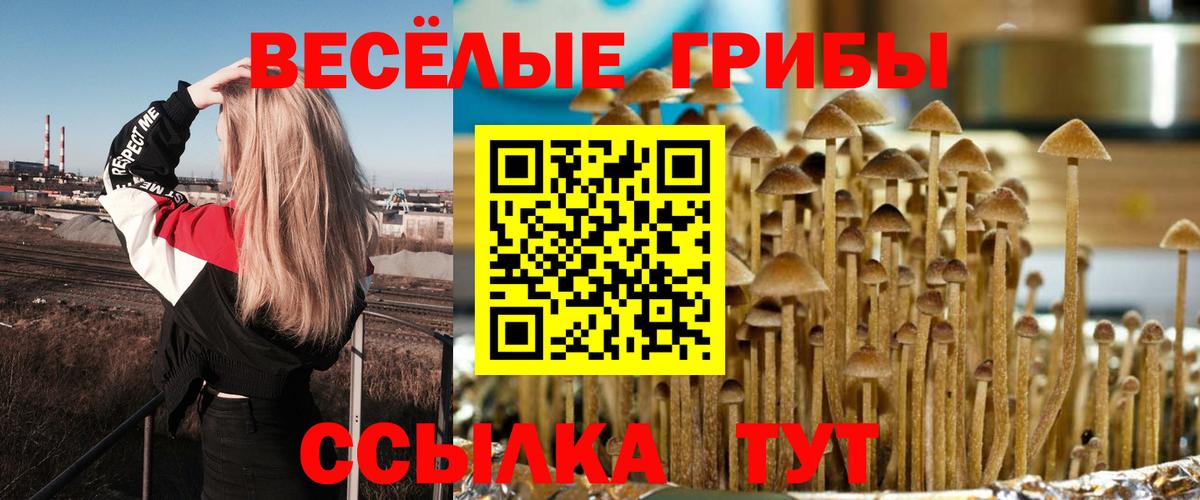 Меф Семёнов